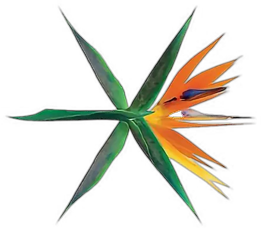 Exo Logo Ko Bop Comeback Png Sticker By Ana Exo The War Album Art Ko Png