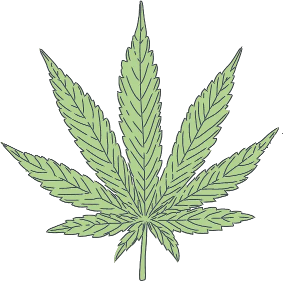 Simply Cannabis Inc Sativa Simply Cannabis Inc Marijuana Clipart Transparent Png Cannabis Leaf Png