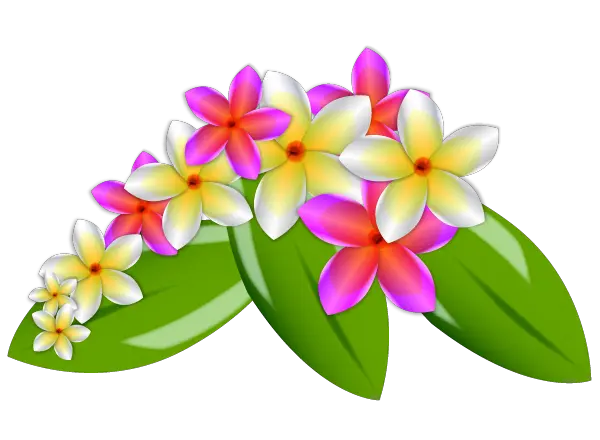 Download Flowers U0026 Treesnature Hawaiian Flower Vector Png Hawaiian Flower Vector Png Hawaiian Flowers Png