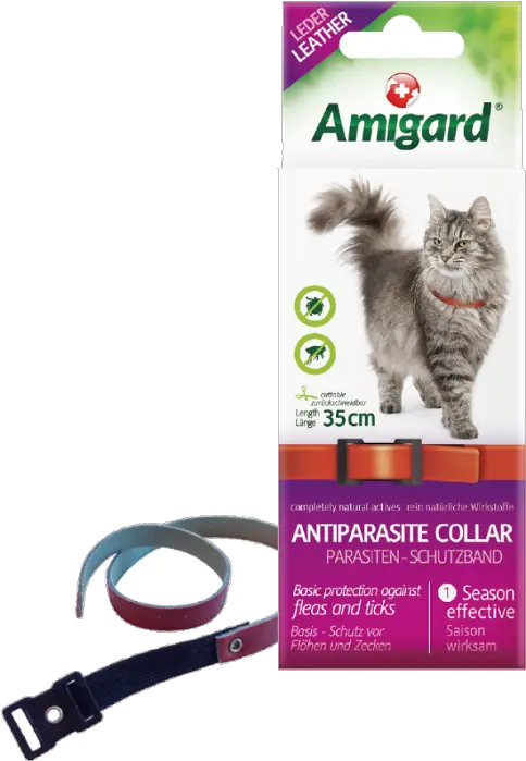 Amigard Antiparasite Flea U0026 Tick Collar For Cats 35cm Siberian Forest Cat Vs Norwegian Forest Cat Png Collar Png