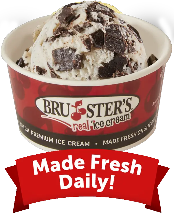 Chocolate Chip Non Dairy W Oat Milk Brusters Brusters Ice Cream Png Chocolate Chip Icon