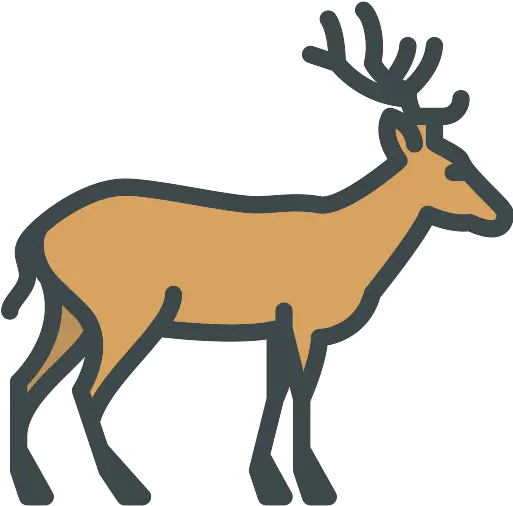 Deer Png Icon Animal Kingdom Clipart Black And White Deer Png