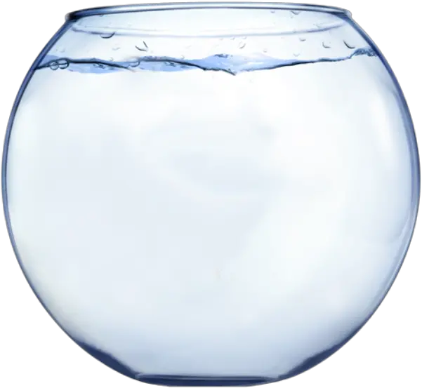 Empty Fish Bowl Png 3 Image Fish Bowl Png Bowl Png