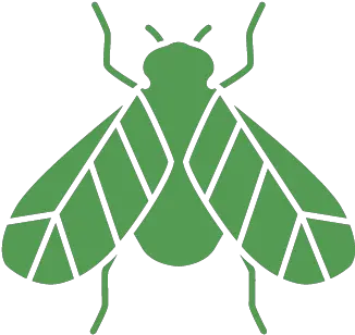 San Diego Wasp Control U0026 Removal From 1 Per Day Png Fly Repellent Icon