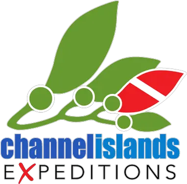 Northern Islands Dive 3 Days Channel Islands Expeditions Png 30 Sided Dive Icon