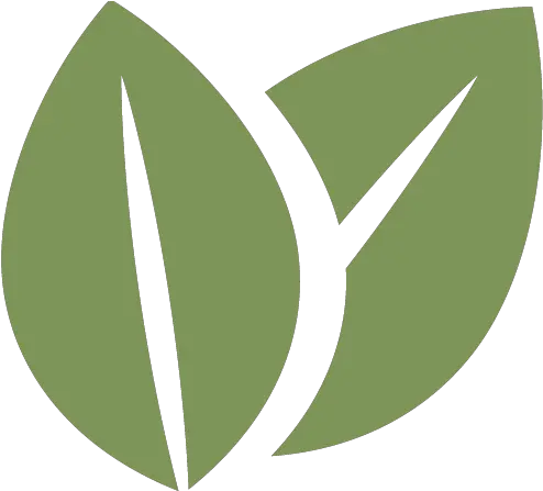 Leaf Icon Sustainability Free Full Size Png Download Leaf Icon Transparent Palm Leaf Icon