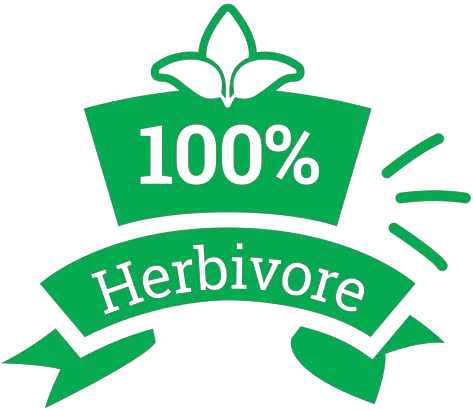 Green Herbivore Vegetarian Badge Transparent Png U0026 Svg Vector Language Veg Non Veg Icon Vector