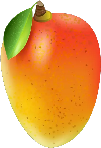 Mango Transparent Png Image Free Transparent Transparent Background Mango Clipart Mango Transparent Background