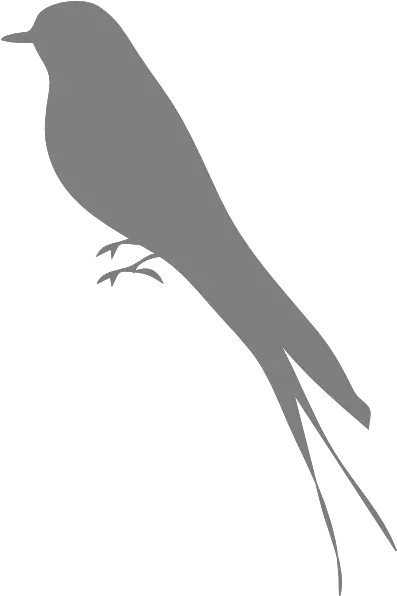 Bird Stand Grey Clip Art Vector Clip Art Bird Silhouette Png Crow Silhouette Png