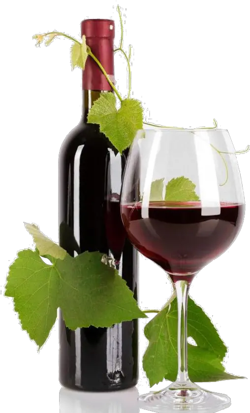 Home Housewine Housewine Home Housewine Wine Glass Png Glass Of Wine Png