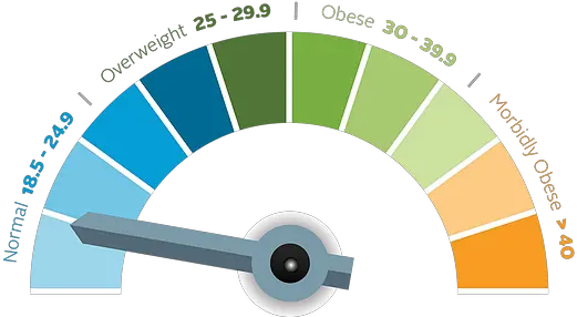 Body Fat Calculator Next Level Fitness Im Putting Template Black Png Body Mass Index Icon