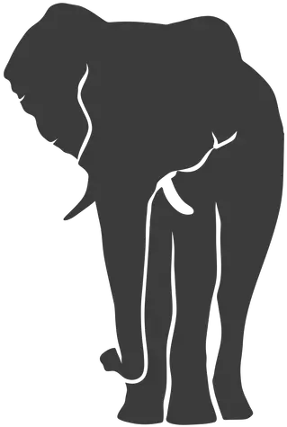 Elephant Ear Ivory Trunk Silhouette La Silueta De Un Elefante Png Elephant Silhouette Png