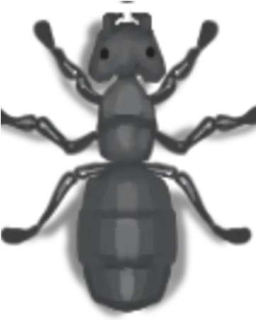 Queen Ant Antwario Wiki Fandom Ant Eggs In Ant In Ant War Io 2 Png Ants Png