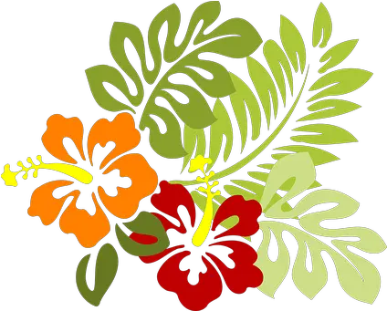 1000 Free Tropical U0026 Hawaii Illustrations Pixabay Hibiscus Clip Art Png Tropical Flowers Png