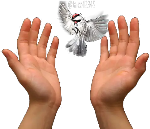 Praying Hands Prayer Love Others Png Download 640425 Prayer Hands Images Png Hands Transparent Background