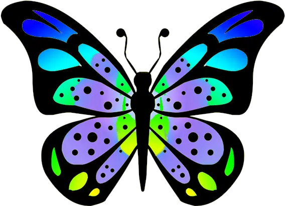 Download Hd Colouful Clipart Butterfly Wing Butterfly Butterfly Drawings Color Png Butterfly Wing Png png