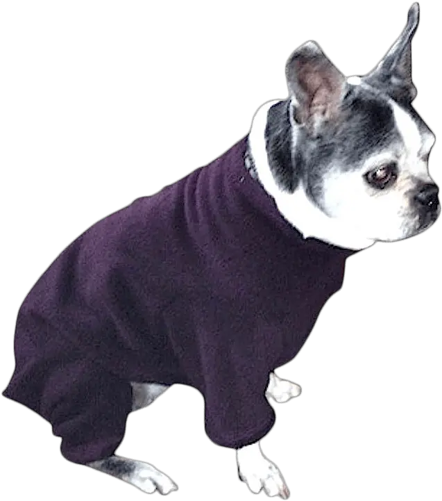 Pug Boston Terrier U0026 French Bulldog Heavy Fleece Bodysuit Baroque Plum Dog Clothes Png Boston Terrier Png