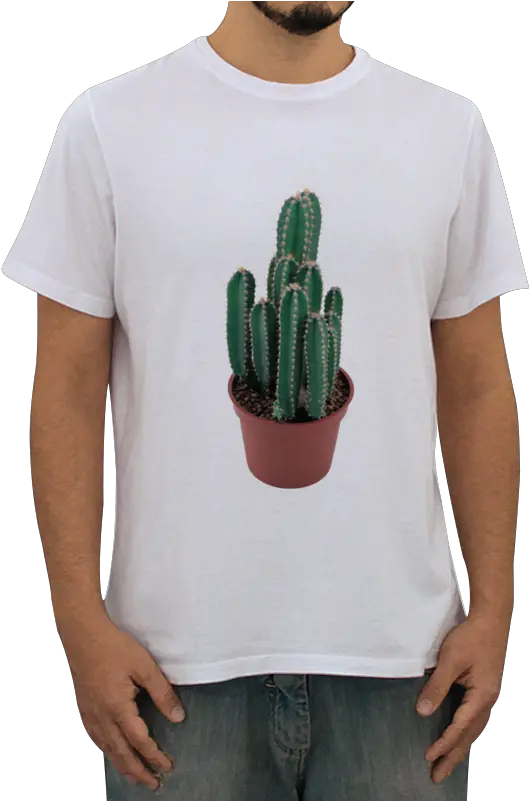 Camiseta Cactus Png De Marco Spindler Colab55 Camisa Sem Tempo Irmão Cactus Png