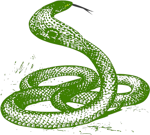 Download Hd How To Set Use Green Snake Clipart Transparent Snake Green Clipart Png Snake Clipart Png