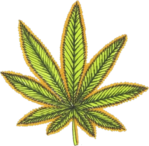 Weed Leaf Transparent Png Cannabis Leaves Black Weed Leaf Weed Logo Pot Leaf Transparent Background