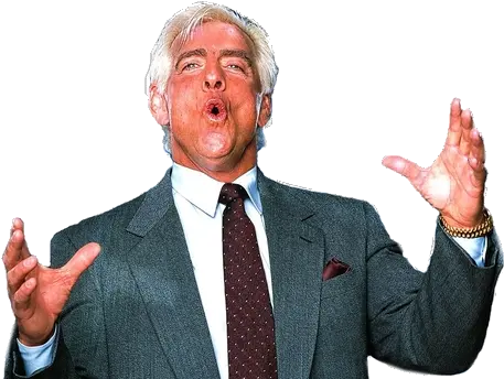 Ric Flair Nature Boy Ric Flair Png Ric Flair Png