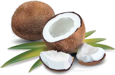 Pandan Coconut Png 1 Image Pandan Leaves And Coconut Coconut Png