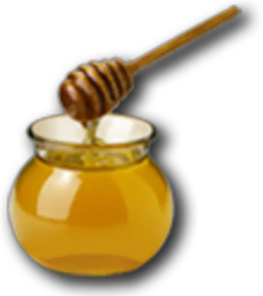 Free Honey Jar Png Download Clip Art Can Diabetics Eat Honey Honey Jar Png