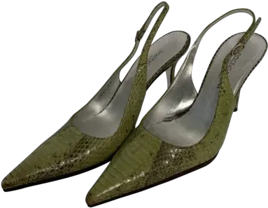 Green Snakeskin Slingback Heels Pointy Toe Png Dolce And Gabbana Icon T Shirts