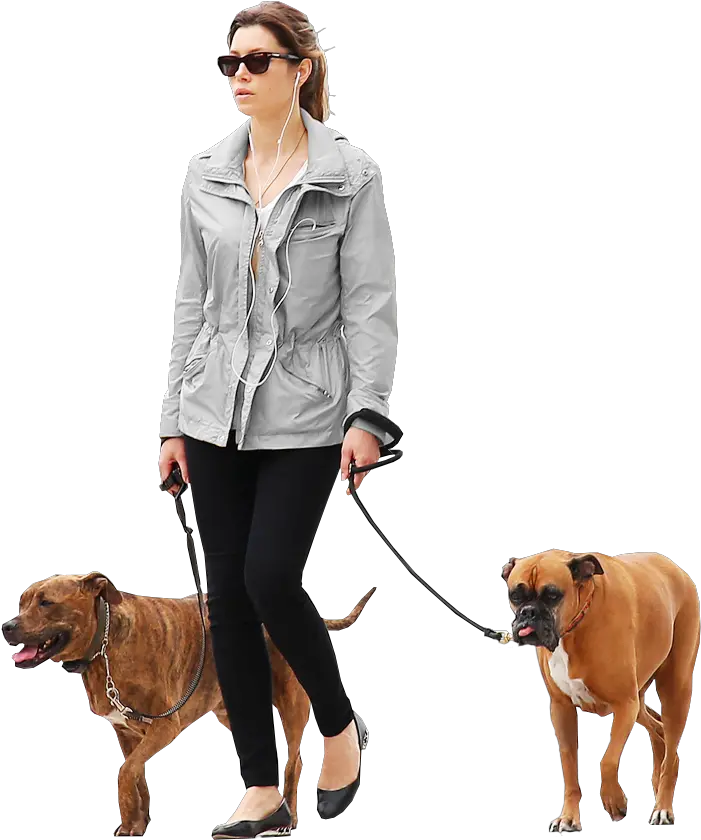 Woman Dogs Gray People Png Cutout Render Png People Walking Dog Pet Png