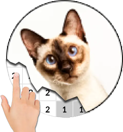 Cat Photography Color By Number Pixel Art Apk 70 Pikes Png Pixel Cat Icon