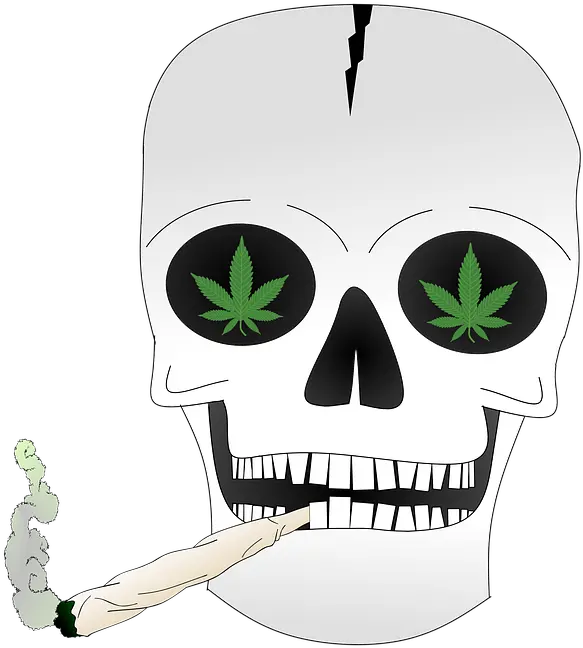 Skull And Crossbones Death Free Image On Pixabay Bone Png Skull And Crossbones Transparent Background