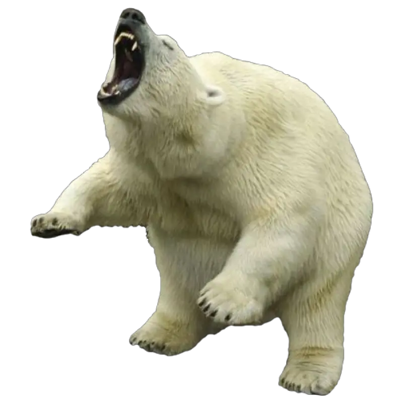 Polar Bear Png Clipart Transparent Polar Bear Png Polar Bear Transparent Background