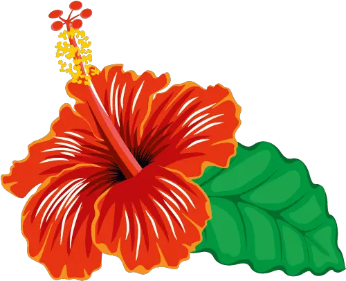 Index Of Wp Contentuploads Shoeblackplant Png Hawaiian Flower Icon