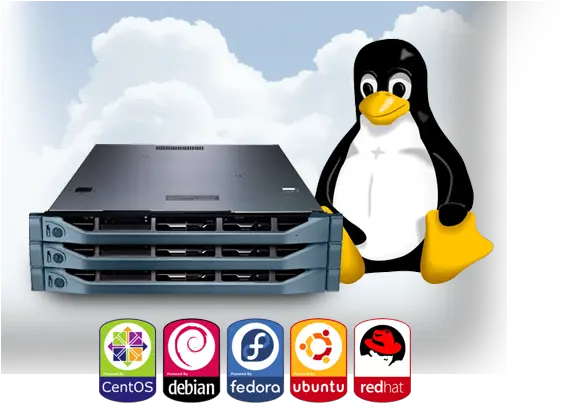 Linux Hosting Linux Logo Penguin Png Linux Png