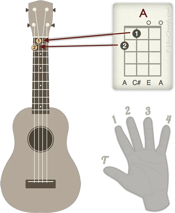 How To Read Ukulele Chord Diagrams Eye Opener U2022 Ukuguides Read A Ukulele Chord Chart Png Ukulele Icon
