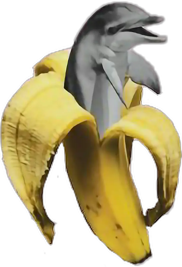 Download Hd Banana Dolphin Vaporwave Freetoedit Aesthetic Aesthetic Banana Png Banana Transparent
