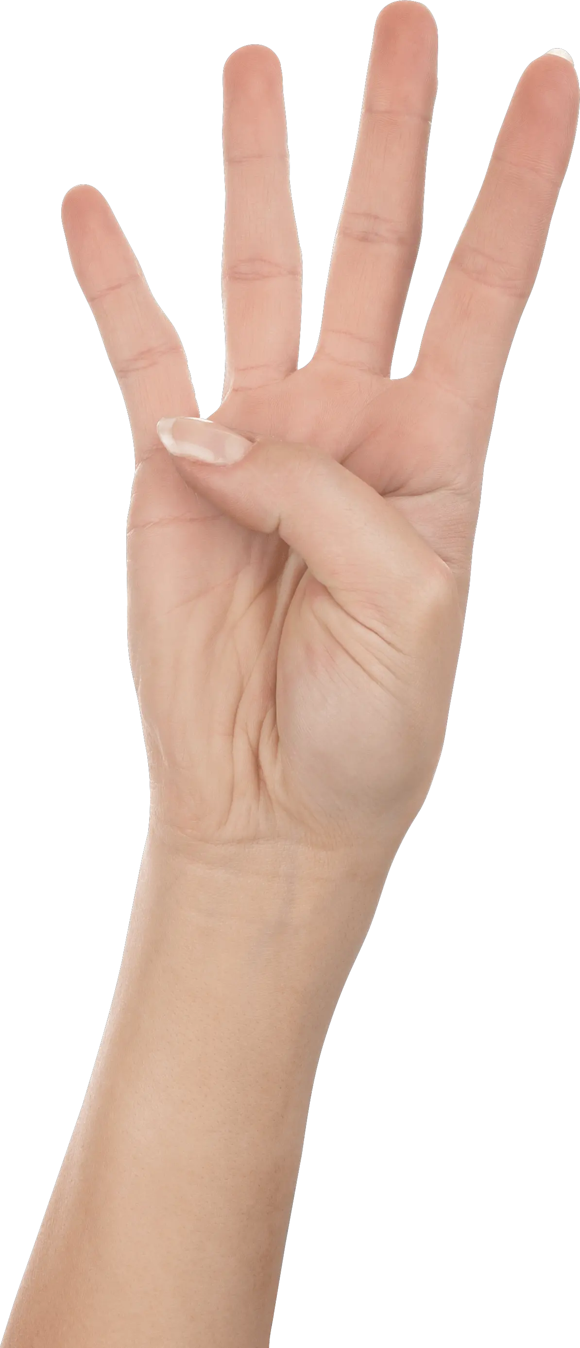 Hamsa Hand Png