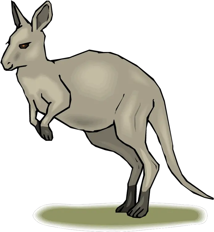 Free Kangaroo Transparent Download Clip Art Animated Pic Of Kangaroo Png Kangaroo Transparent Background