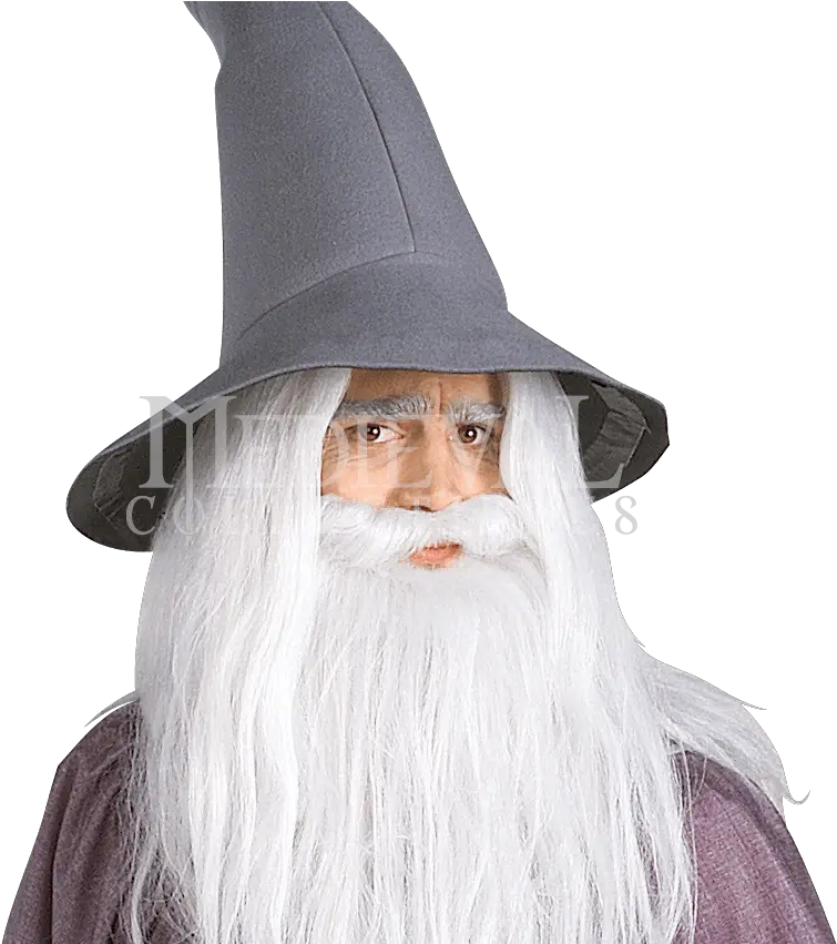 Gandalf Lord Of The Rings Gandalf Png Witch Hat Transparent Background