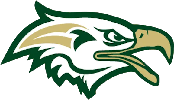 Chequamegon Team Home Chequamegon Screaming Eagles Sports Transparent Eagle Logo Png Eagles Icon