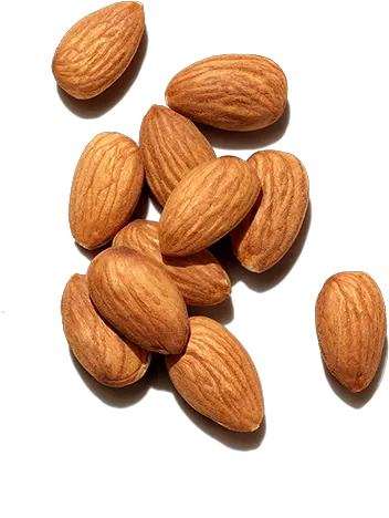 Best Ingredients For Hair Sweet Almond Oil Prose Sweet Almonds Transparent Png Almond Transparent