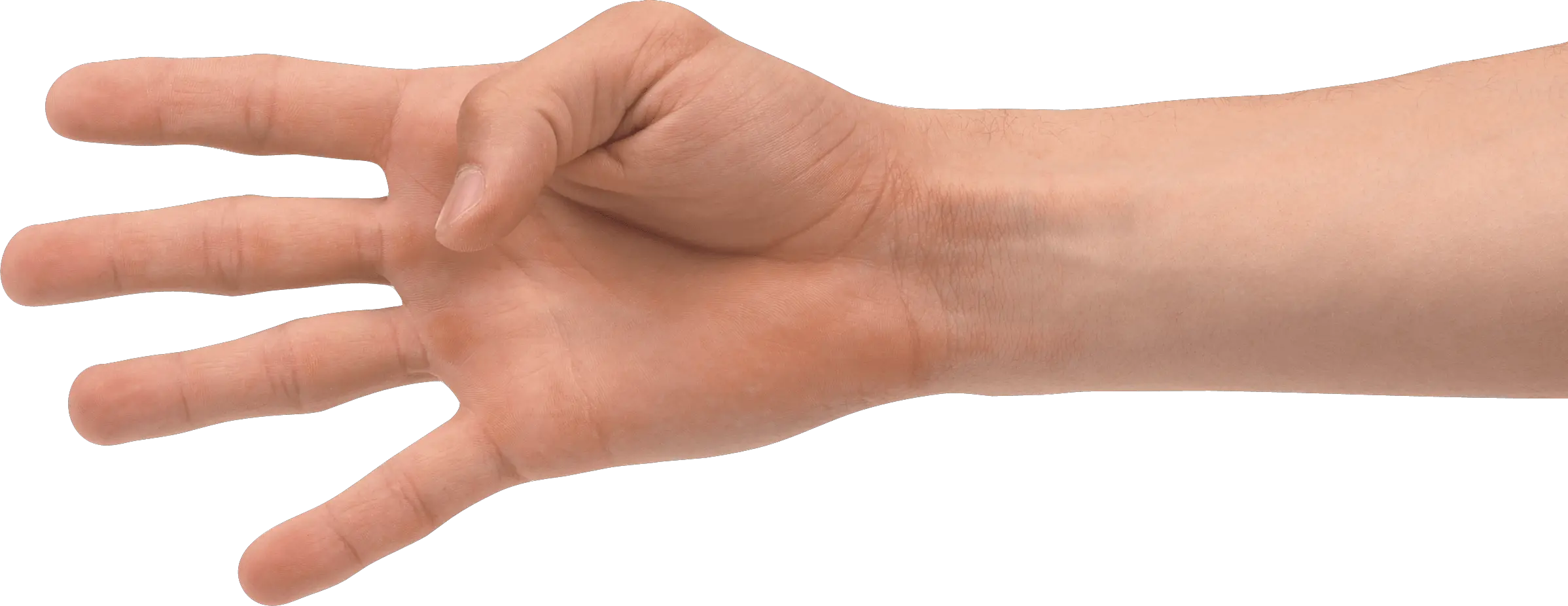 Female Hand Holding Paper Png
