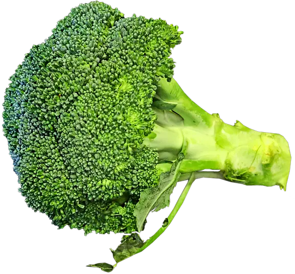 Free Photo Vegetable Nutrition Broccoli Healthy Cooking Food Superfood Png Broccoli Transparent Background