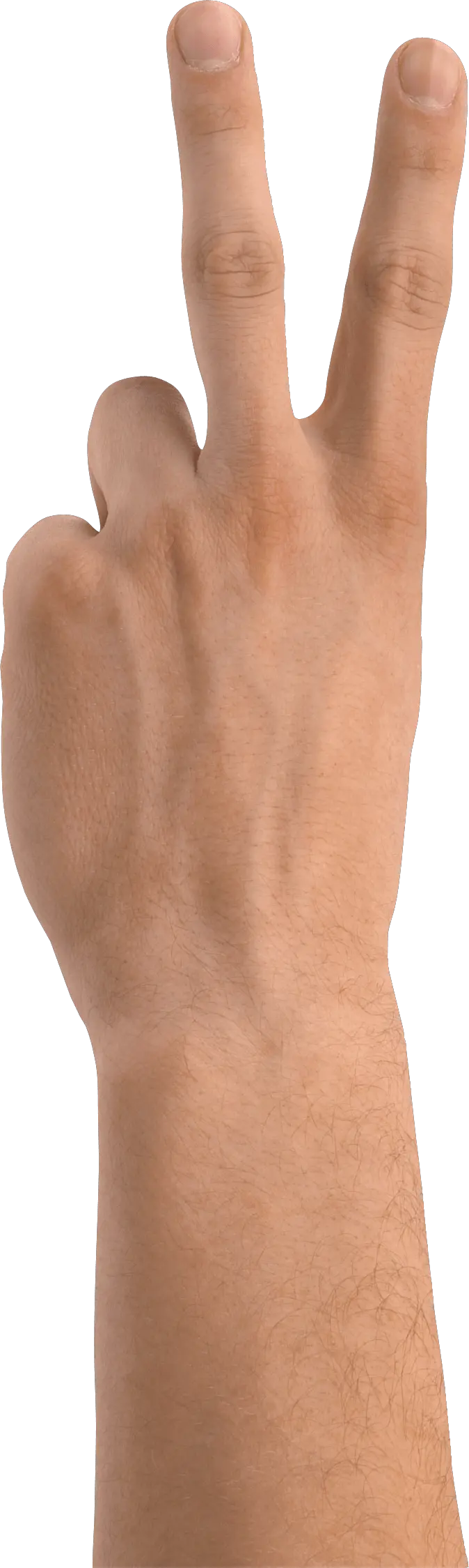 Engagement Hands Png