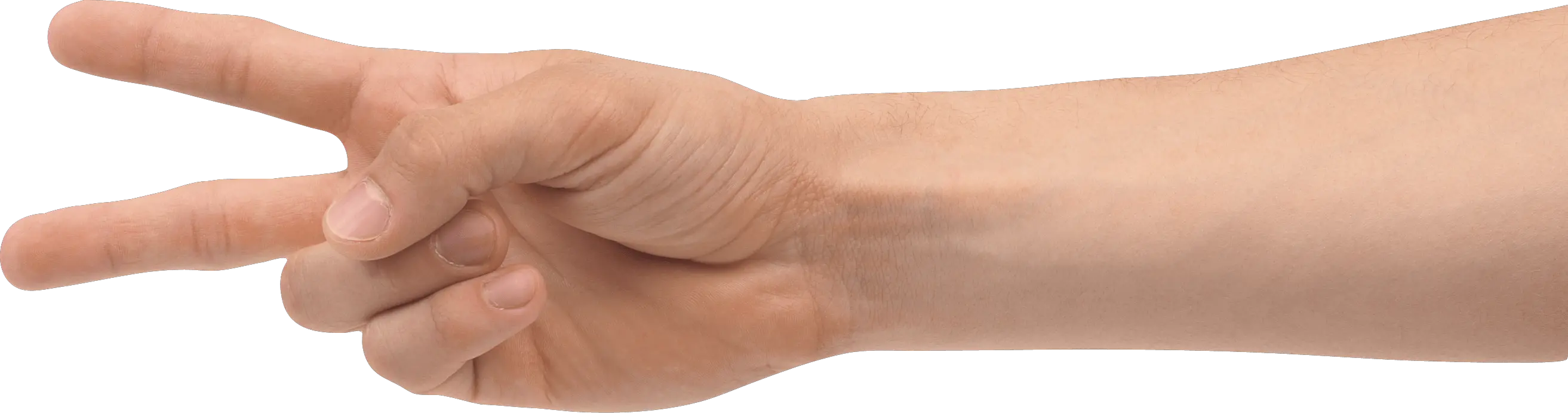 Family Hands Png