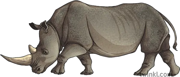 Animal Rhino Black Rhinoceros Png Rhino Icon Png