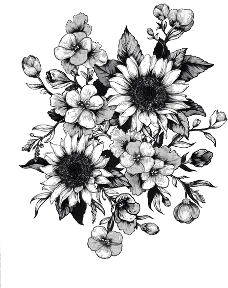Download Tattoo Sketch Flower Drawing Sunflower Png Free Black And White Flower Tattoo Designs Sunflower Clipart Png