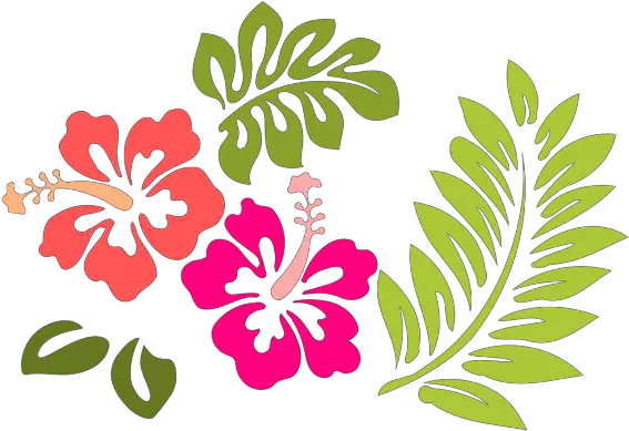 Coral Hibiscus Png Svg Clip Art For Web Download Clip Art Floral Coral Icon