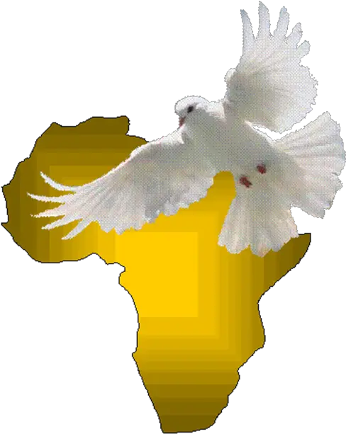 Aia Logo Africa With Dove No Background 3 Decade Of Doves As Symbols Png Dove Transparent Background