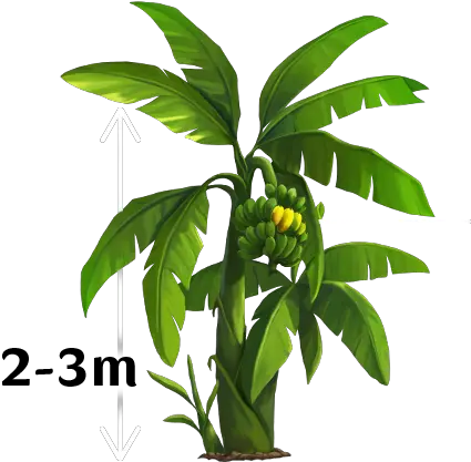 Yello Banana Tree Vector Png Banana Tree Png